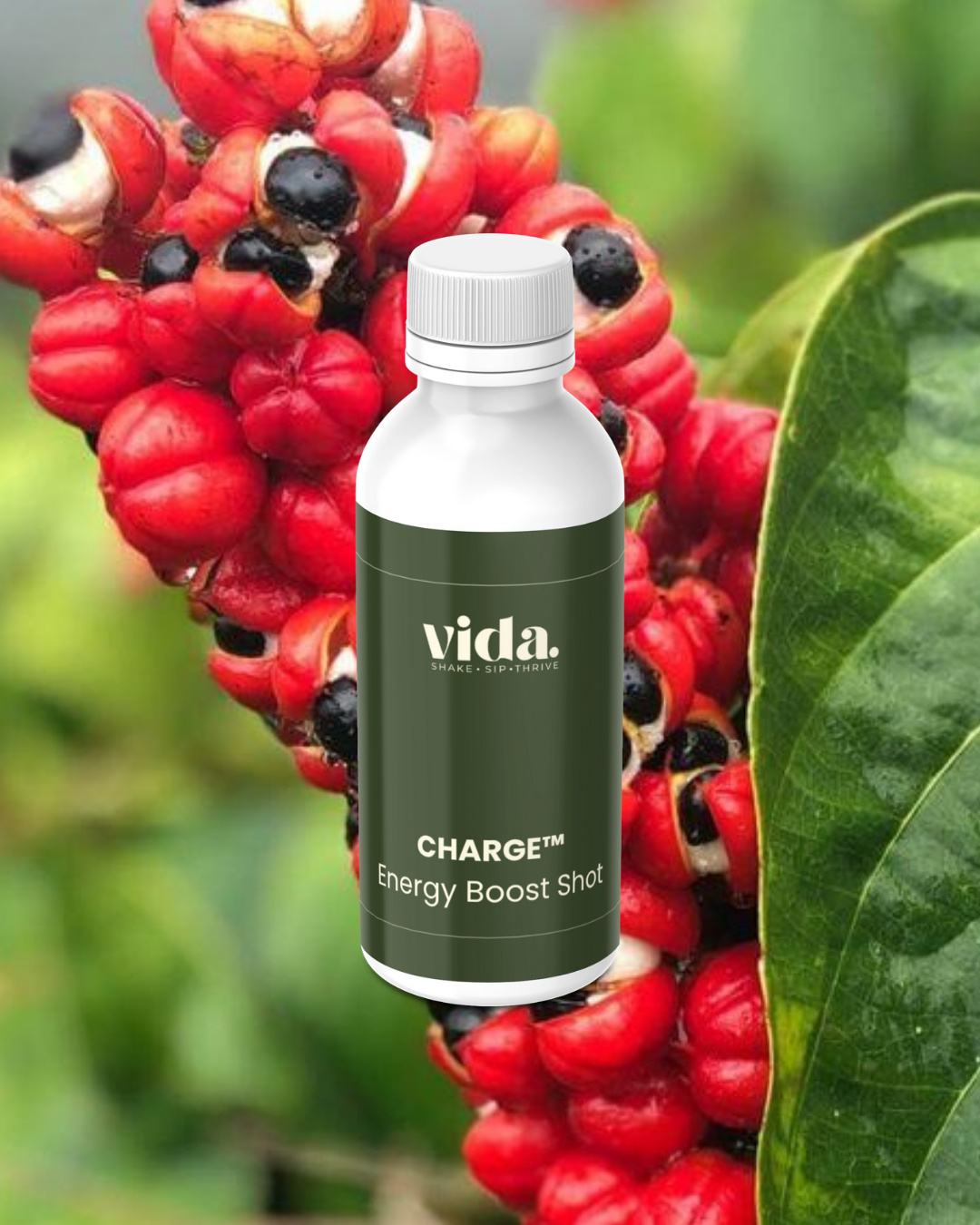 CHARGE™ – Energy Boost Shot